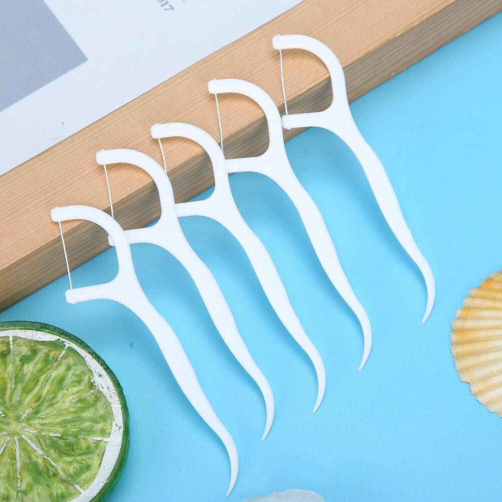 10pcs Dental Floss